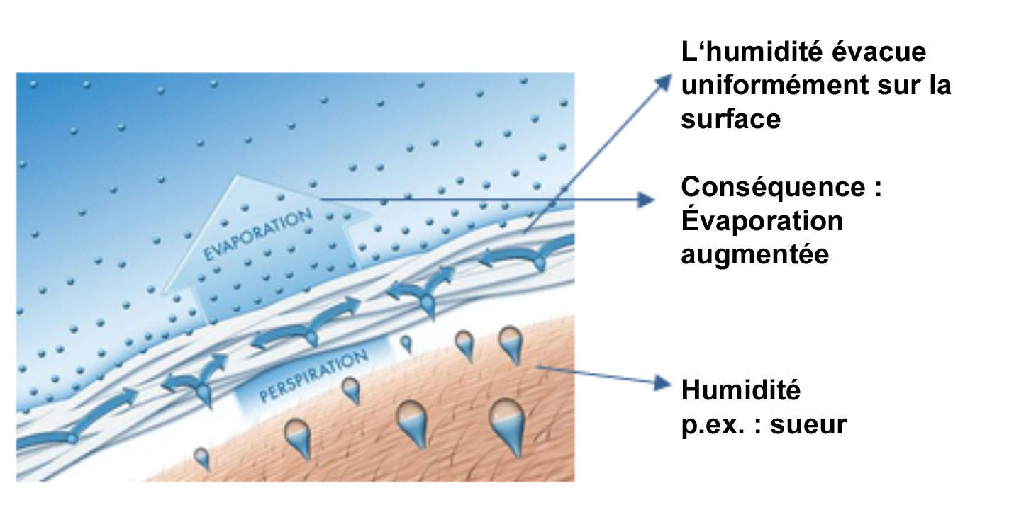 Régulateur dhumidité