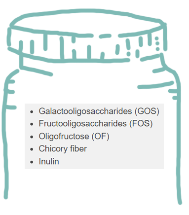 Galactooligosaccharides (GOS), Fructooligosaccharides (FOS), Oligofructose (OF), Chicory fiber, Inulin