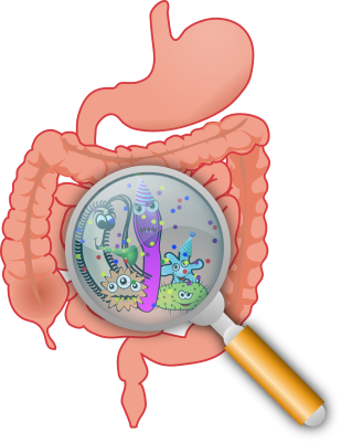 Microbiota