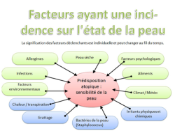 Facteurs ayant une incidence sur l'état de la peau